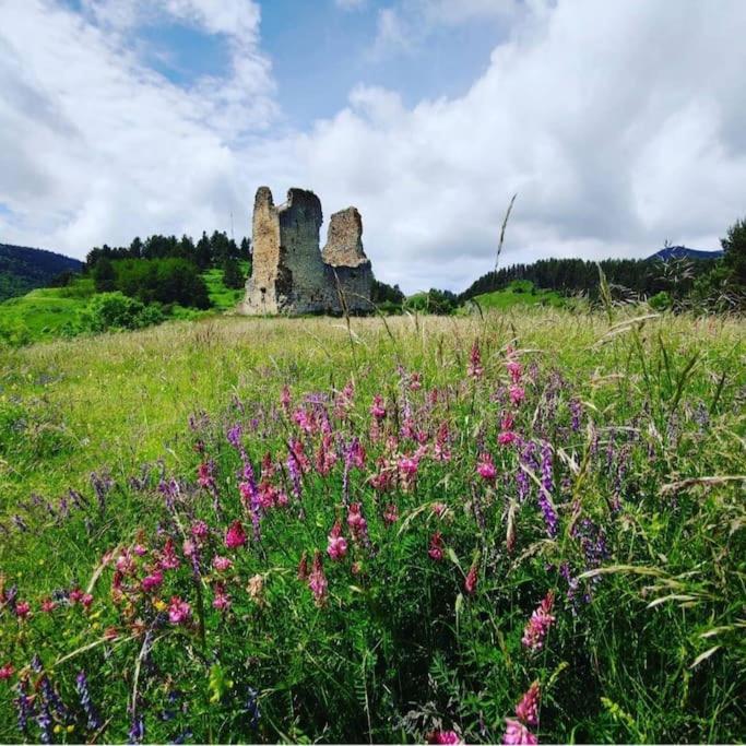 Gite L'Enclos O Rendez-Vous Roquefeuil-Pays De Sault- Avec Jardin Exterior foto