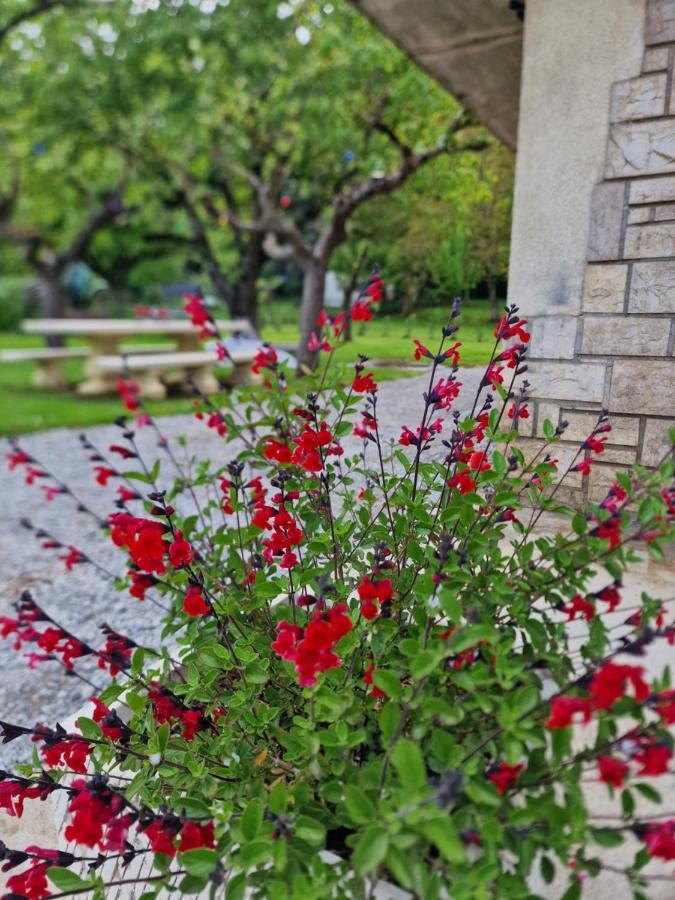 Gite L'Enclos O Rendez-Vous Roquefeuil-Pays De Sault- Avec Jardin Exterior foto